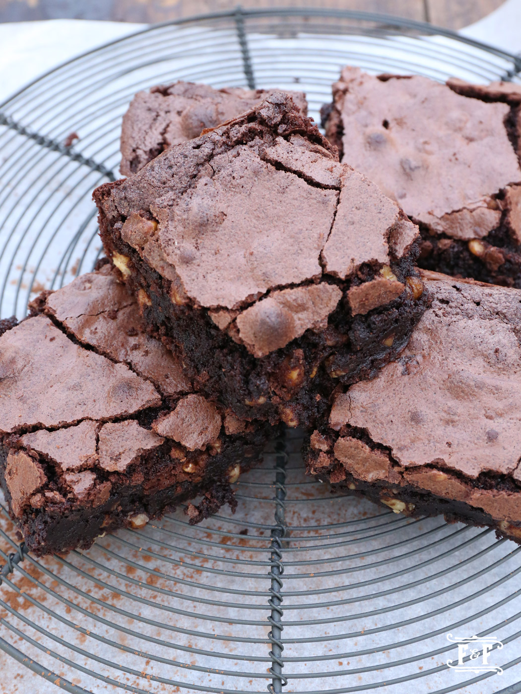 Dutch Cocoa Brownies with Walnuts
